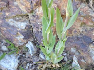 Img.VTax1087.Ex1.Img6