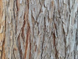 Img.VTax109.Ex1.Img1