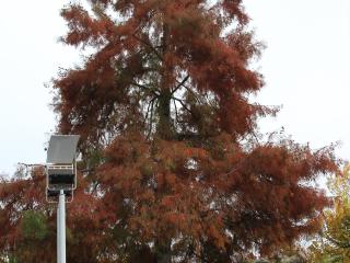 Img.VTax109.Ex3.Img1