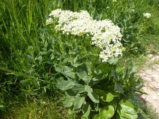 Img.VTax1127.Ex3.Img6