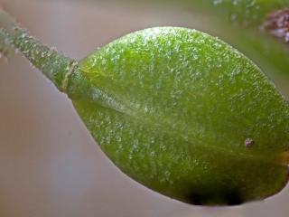 Img.VTax1137.Ex2.Img6