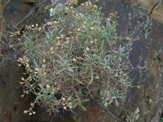 Img.VTax1188.Ex1.Img1