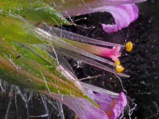 Img.VTax1366.Ex1.Img9