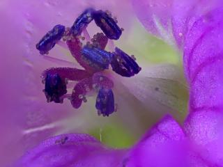 Img.VTax1371.Ex2.Img1
