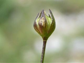Img.VTax1402.Ex1.Img6