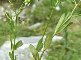 Img.VTax1402.Ex1.Img7