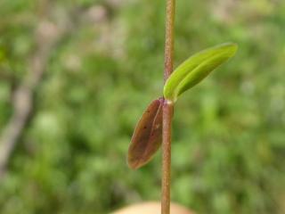 Img.VTax1402.Ex1.Img8