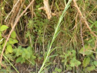 Img.VTax1416.Ex1.Img10