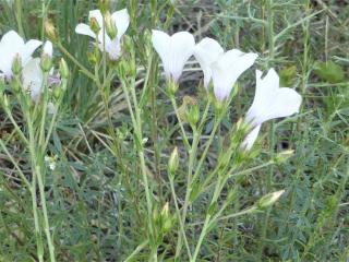 Img.VTax1416.Ex1.Img5