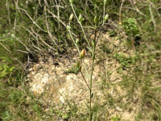 Img.VTax1416.Ex1.Img9