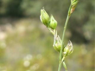 Img.VTax1419.Ex1.Img6