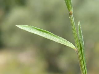 Img.VTax1419.Ex1.Img7
