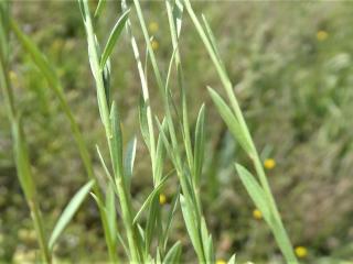 Img.VTax1419.Ex1.Img9