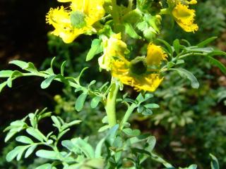 Img.VTax1440.Ex1.Img6