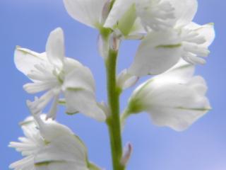 Img.VTax1461.Ex2.Img1