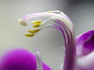 Img.VTax1467.Ex1.Img1