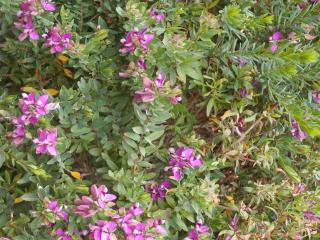 Img.VTax1467.Ex2.Img1