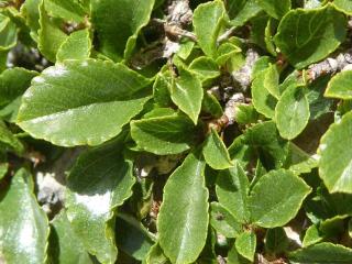 Img.VTax1485.Ex1.Img6