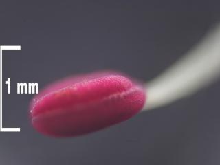 Img.VTax1501.Ex2.Img3