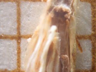 Img.VTax1505.Ex4.Img3