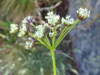 Img.VTax1513.Ex1.Img7