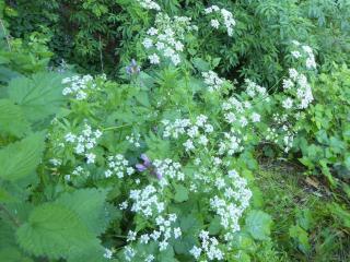 Img.VTax1516.Ex2.Img1