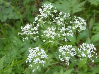 Img.VTax1516.Ex2.Img6