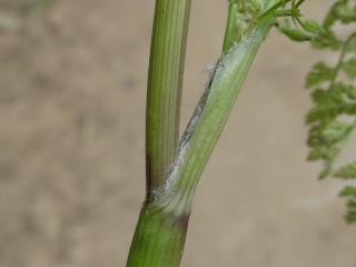 Img.VTax1518.Ex1.Img1