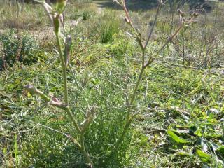Img.VTax1545.Ex1.Img1