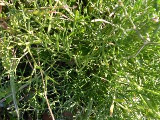 Img.VTax1545.Ex1.Img5