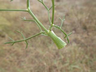 Img.VTax1545.Ex2.Img3