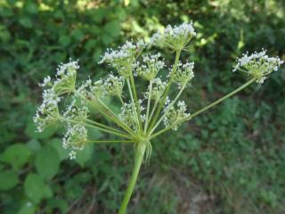 Img.VTax1604.Ex1.Img6