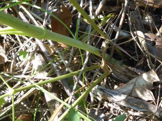 Img.VTax1604.Ex2.Img8