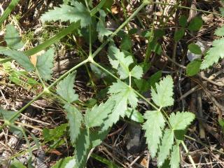 Img.VTax1604.Ex2.Img9
