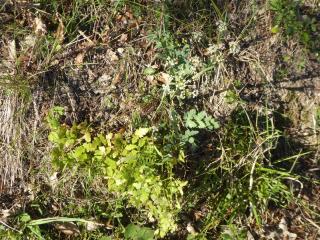 Img.VTax1604.Ex3.Img1