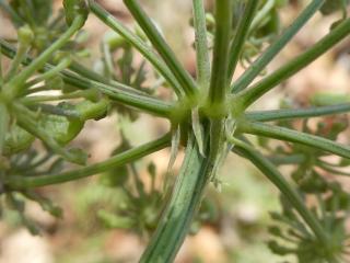 Img.VTax1608.Ex2.Img3