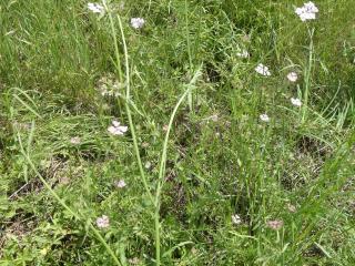 Img.VTax1615.Ex3.Img7