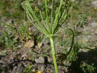 Img.VTax1617.Ex2.Img3