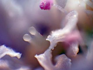 Img.VTax1624.Ex1.Img1