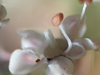 Img.VTax1634.Ex3.Img1
