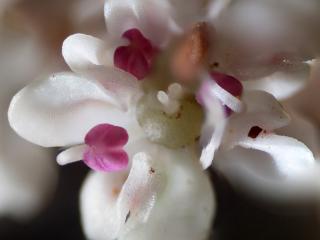 Img.VTax1634.Ex3.Img3