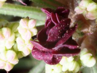 Img.VTax1634.Ex3.Img6