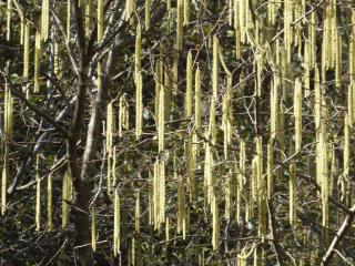 Img.VTax1643.Ex2.Img3