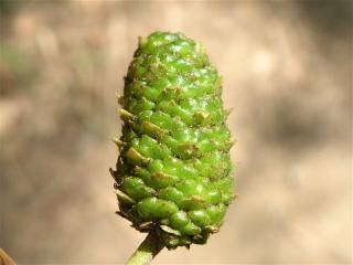 Img.VTax1643.Ex3.Img8