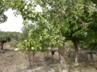Img.VTax1669.Ex3.Img1