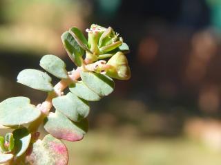 Img.VTax1725.Ex1.Img1