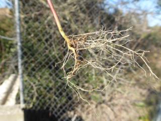 Img.VTax1735.Ex2.Img5