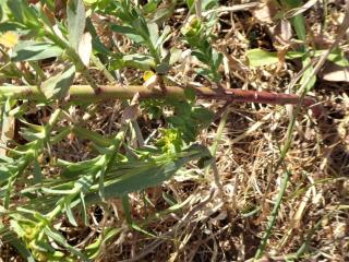 Img.VTax1742.Ex2.Img3