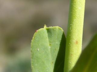 Img.VTax1742.Ex2.Img8