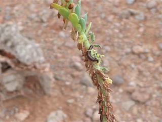 Img.VTax1743.Ex1.Img6